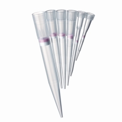 Pipette Tips ep-Dualfilter T.I.P.S.® SealMax (General Lab Product)